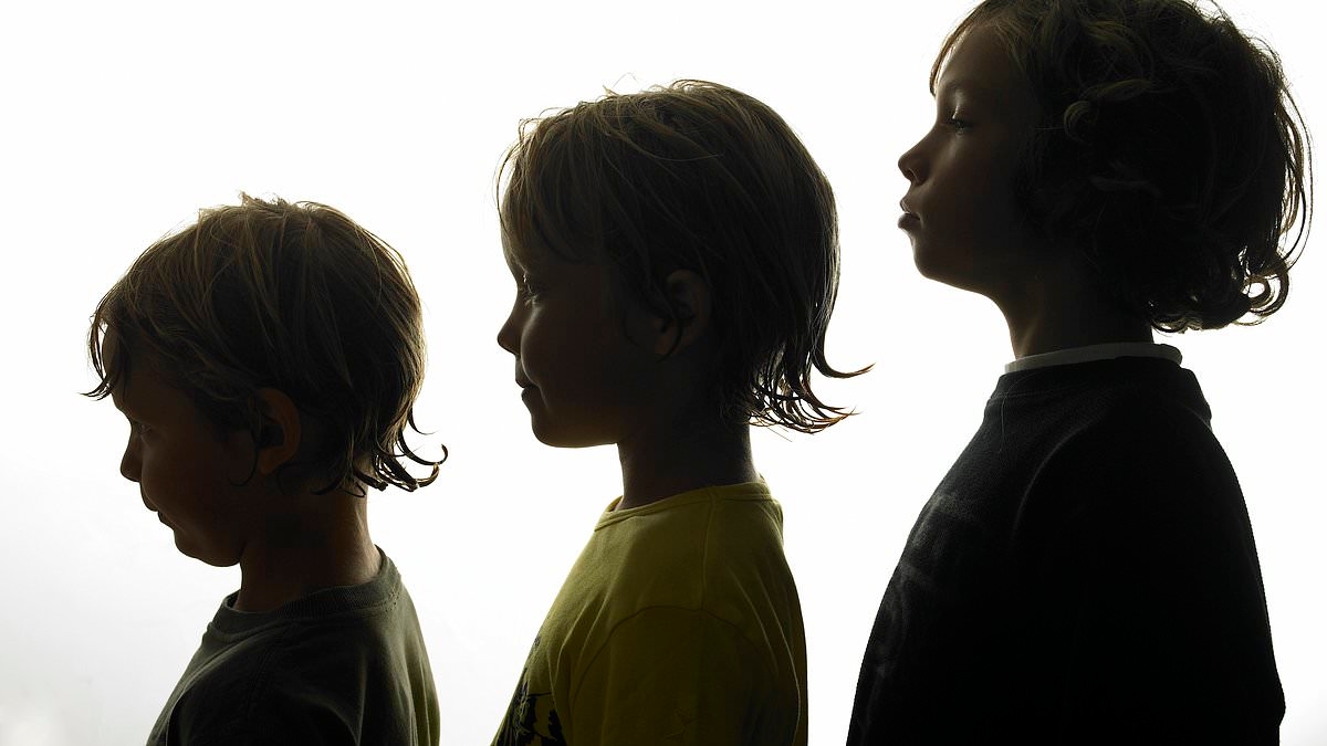 Destino Herdado, de Noemi Orvos-Toth: Primogênito? Você é um líder. Segundo filho? Você tem muitos amigos. Irmão mais novo? Você inicia revoluções!