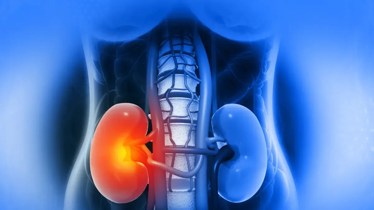 Sette consigli essenziali per la cura dei reni, secondo uno specialista in urologia