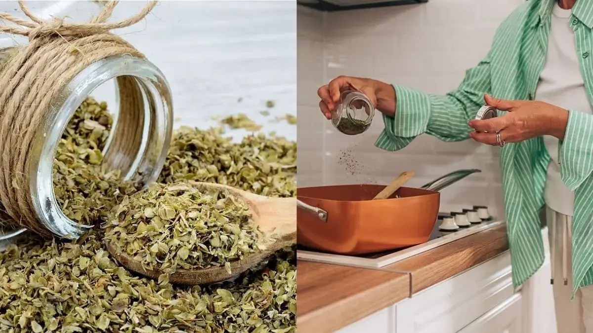 Origano: benefici per la salute, proprietà medicinali e usi poco noti