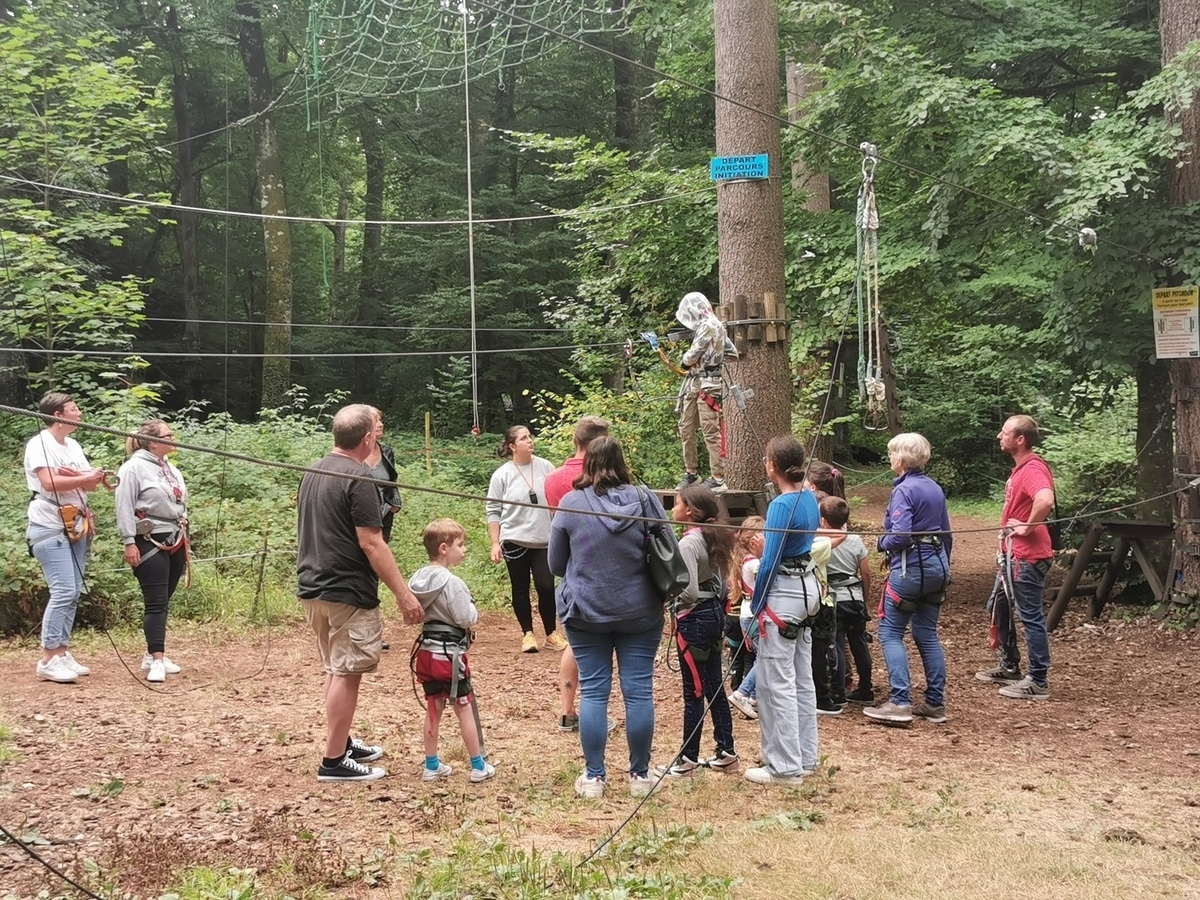 Aventura en las copas de los árboles para pequeños titíes