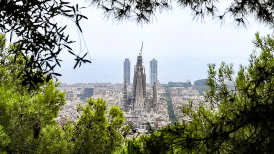 Sagrada Familia will be the tallest temple in the world in 2026