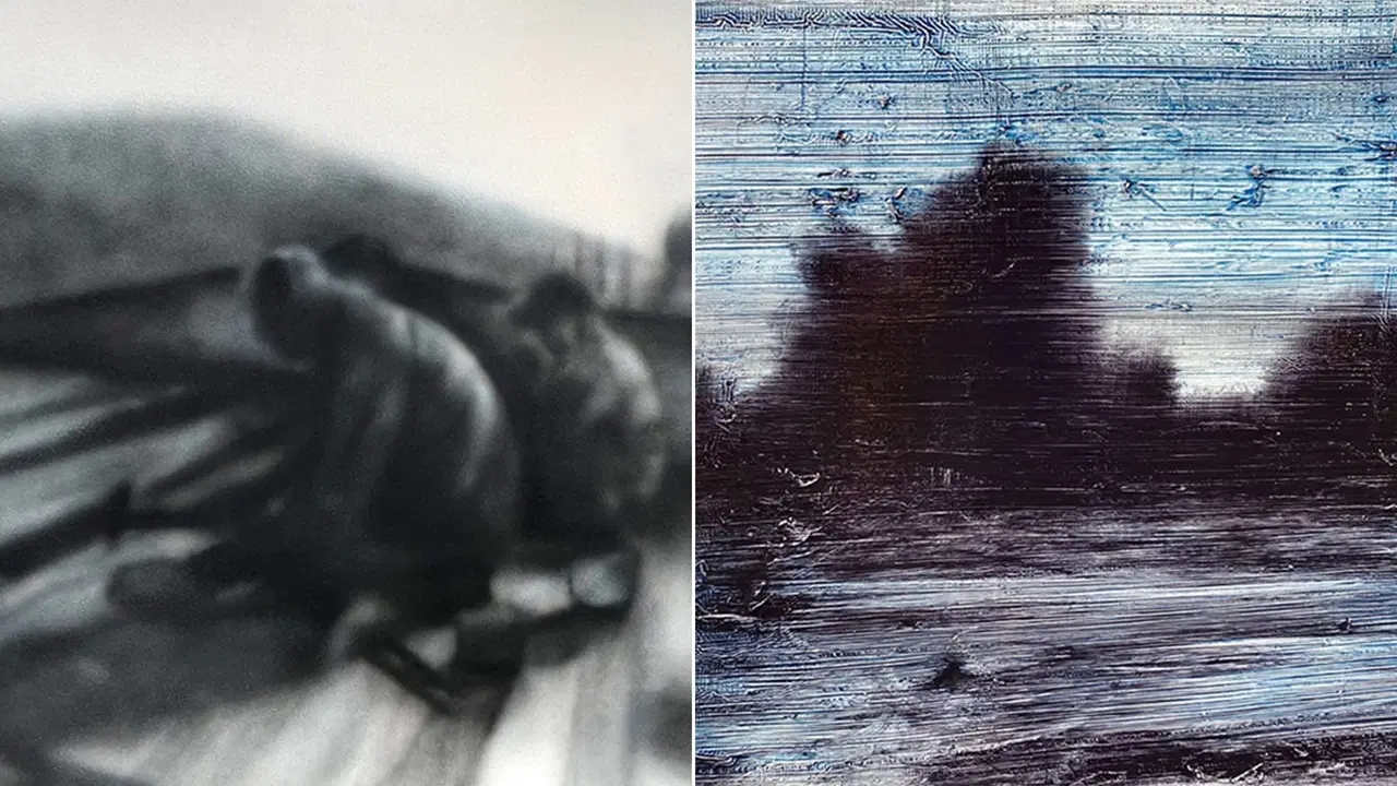 Halil Petüks erste Einzelausstellung „Der Garten der Stille“ ist bei Kairos für Besucher geöffnet: Eine friedliche Abkühlung