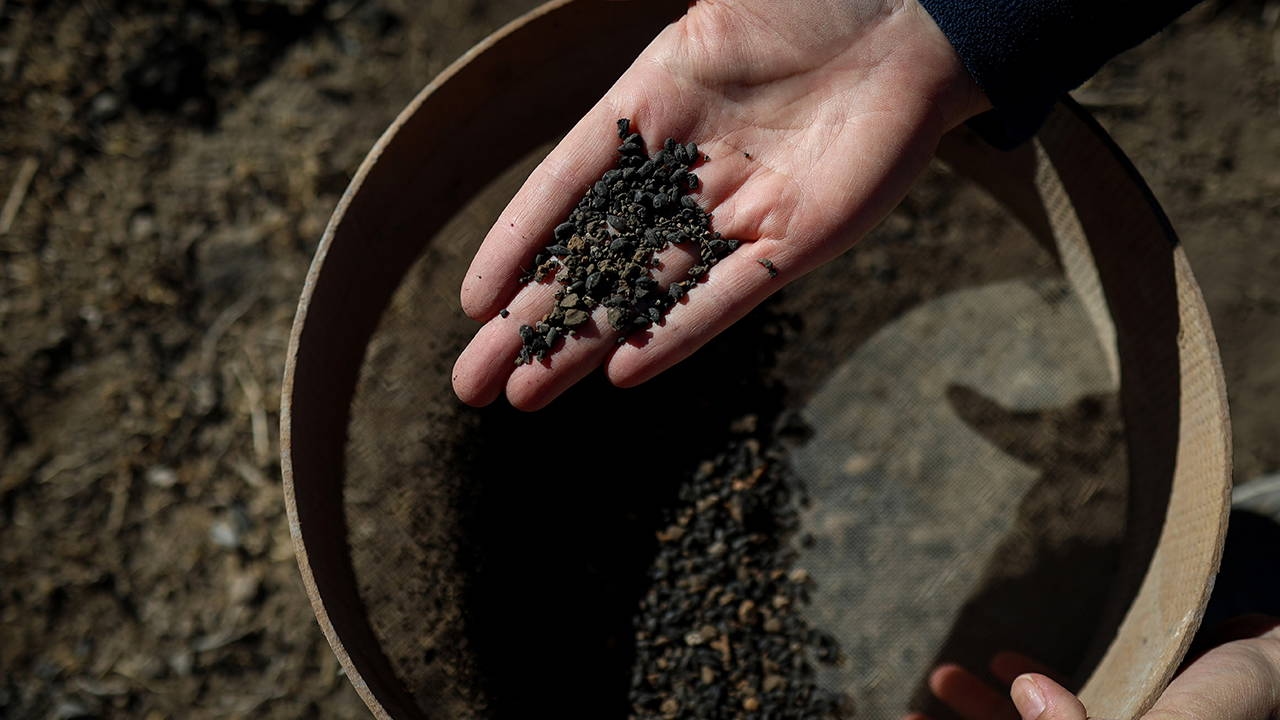 W Van znaleziono zwęglone ziarna jęczmienia sprzed 5000 lat