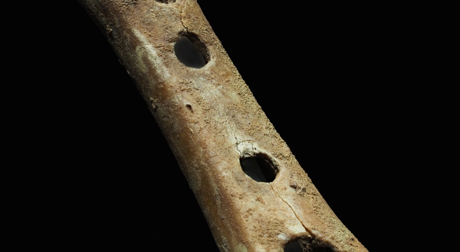 Wie klingt das älteste Instrument der Welt? Dieser Musiker wollte es herausfinden