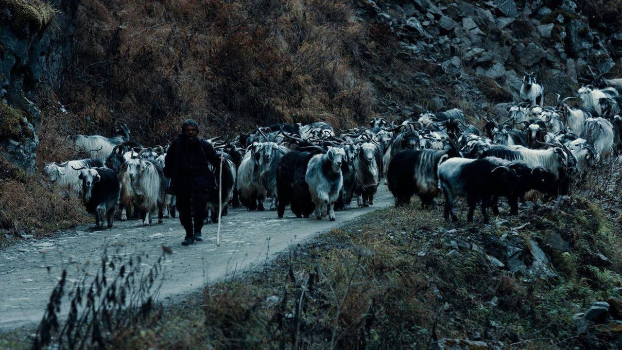 O filme “Goat 501” fará sua estreia mundial