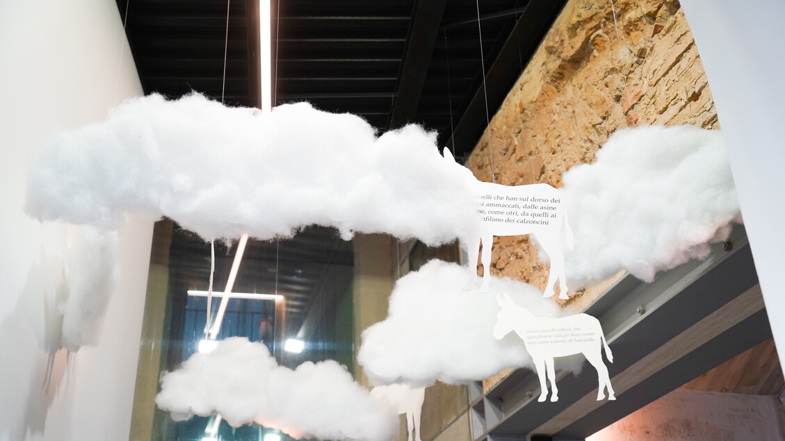 Ослы Кури: между духовностью и поэзией