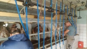 Diversità e paesaggi sonori di Vila do Bispo registrati in un nuovo archivio