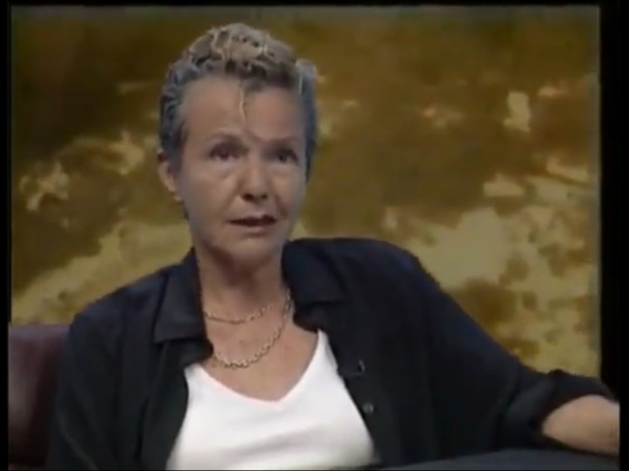 Diejenigen, die Beatriz Sarlo beerben möchten, versuchen, eine Einigung zu erzielen.