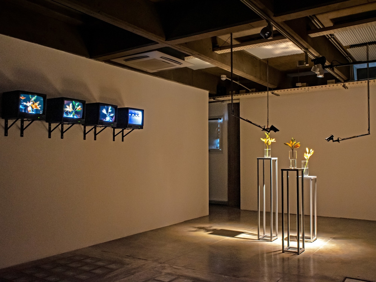 Challenges V: a territory where art, science and technology converge