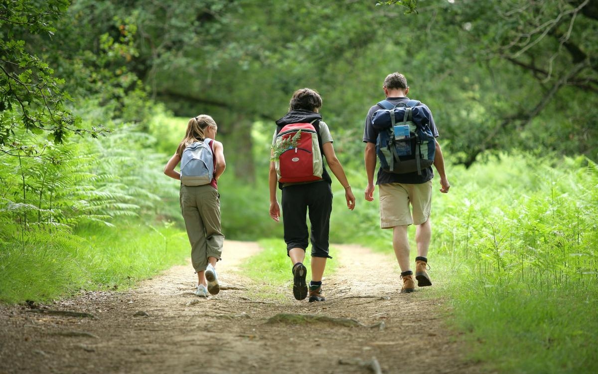 What to do this week in Dordogne?