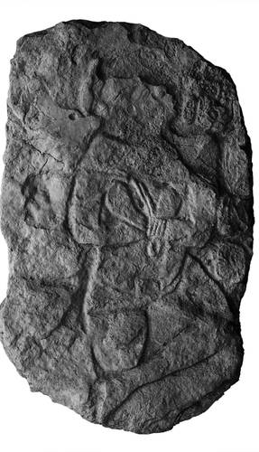 Die Entdeckung einer geschnitzten Tafel in Calakmul würde die Vorstellung vom Ausmaß der Stätte überdenken.
