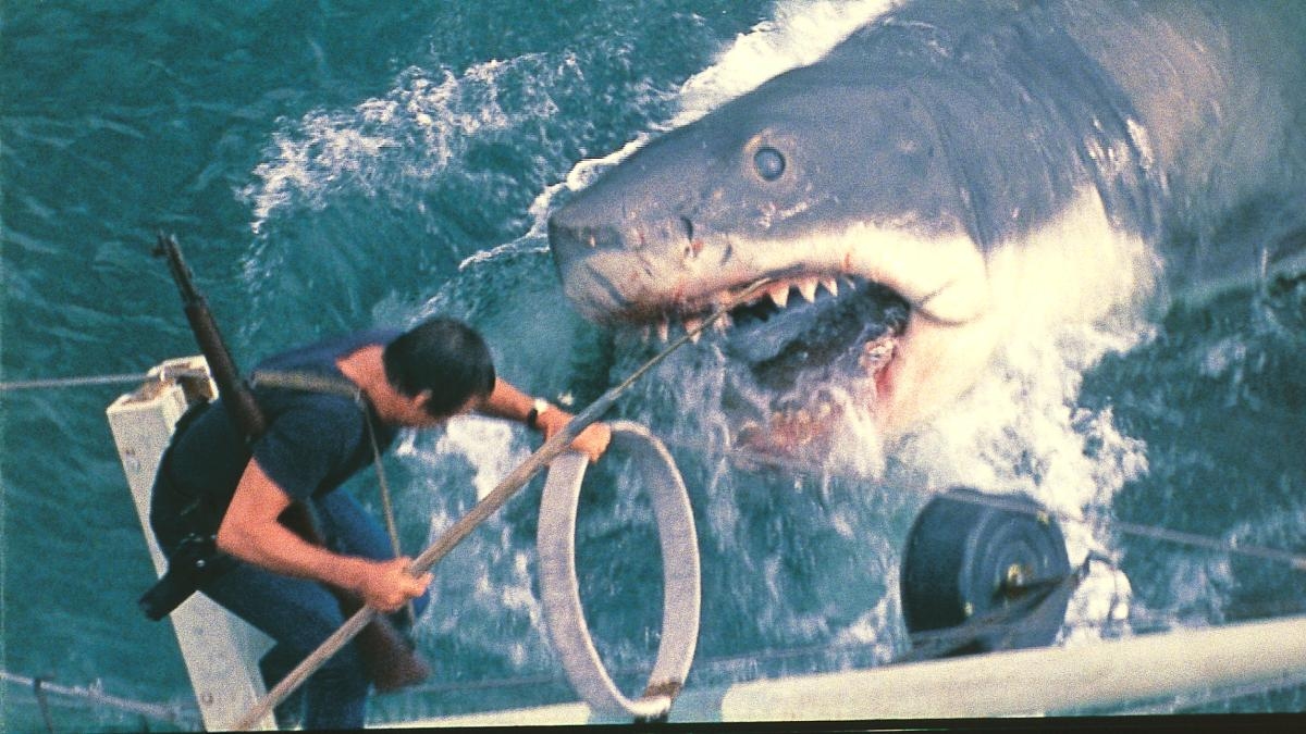 „Der weiße Hai“: 50 Jahre des blutigsten Strandschwimmens