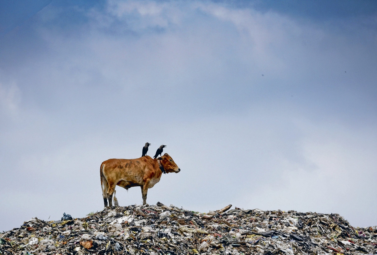 Plasticvervuiling | India: Geef ons uw afval