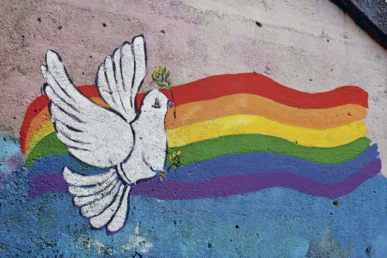 War or peace | Contradictions everywhere you look