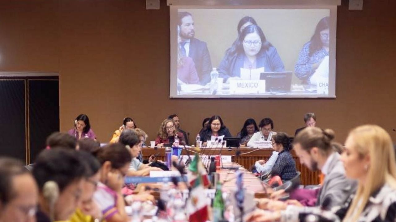 NGOs urge Sheinbaum to heed the recommendations of the UN Committee on the Elimination of Discrimination against Women.