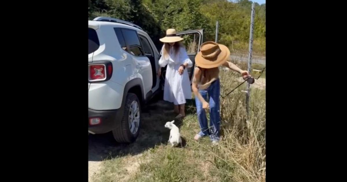 Ornella Muti ve Naike Rivelli'nin başrollerini paylaştığı, terk edilmeye karşı kampanya "Hainle Dışarı".