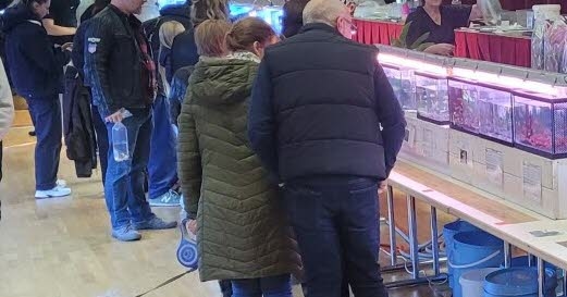 Maxéville: A 29th Fish Exchange in Decline