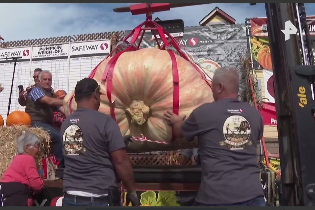 Un ingeniero ha cultivado una calabaza gigante que pesa 1.064 kg.