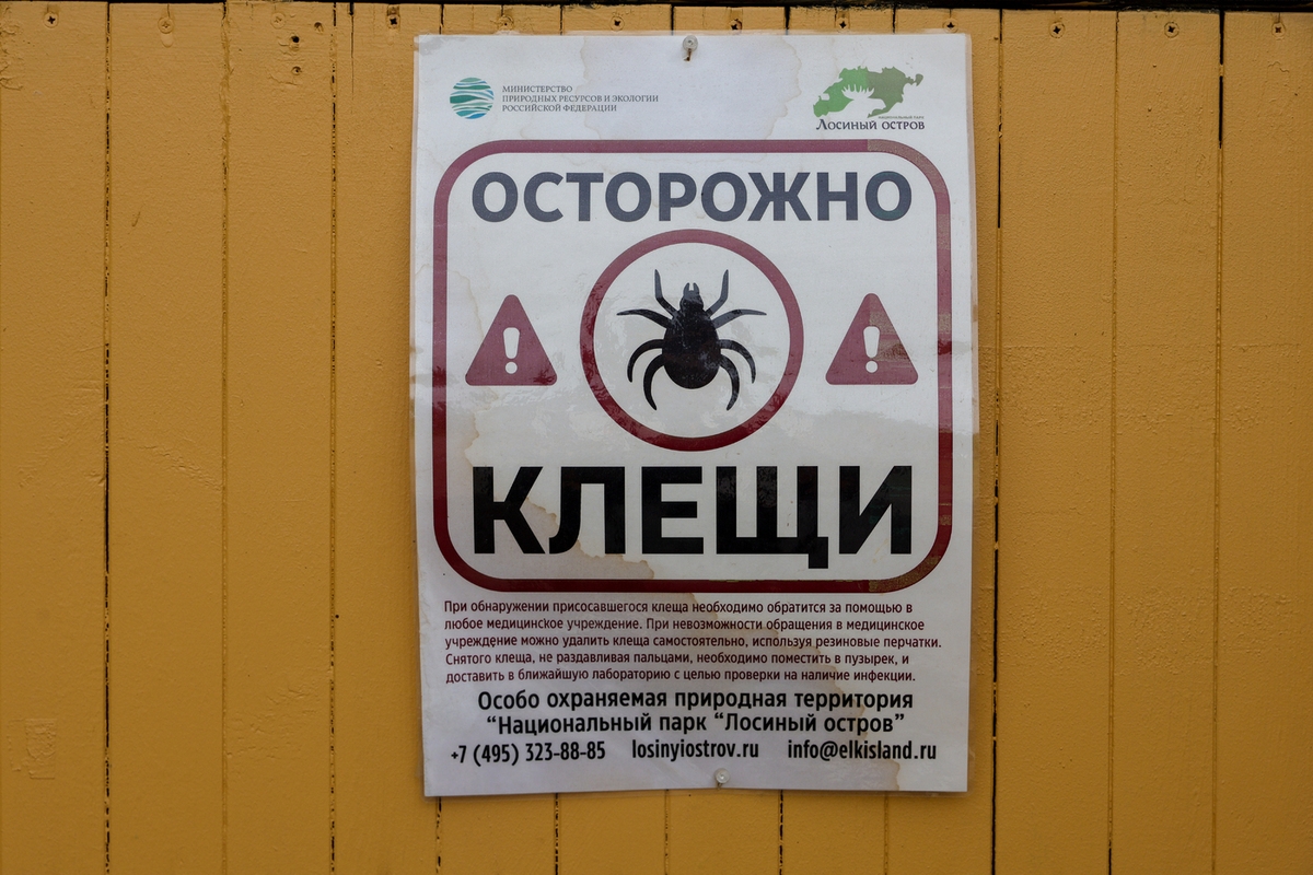 Les tiques d'automne sont plus dangereuses que celles d'été.