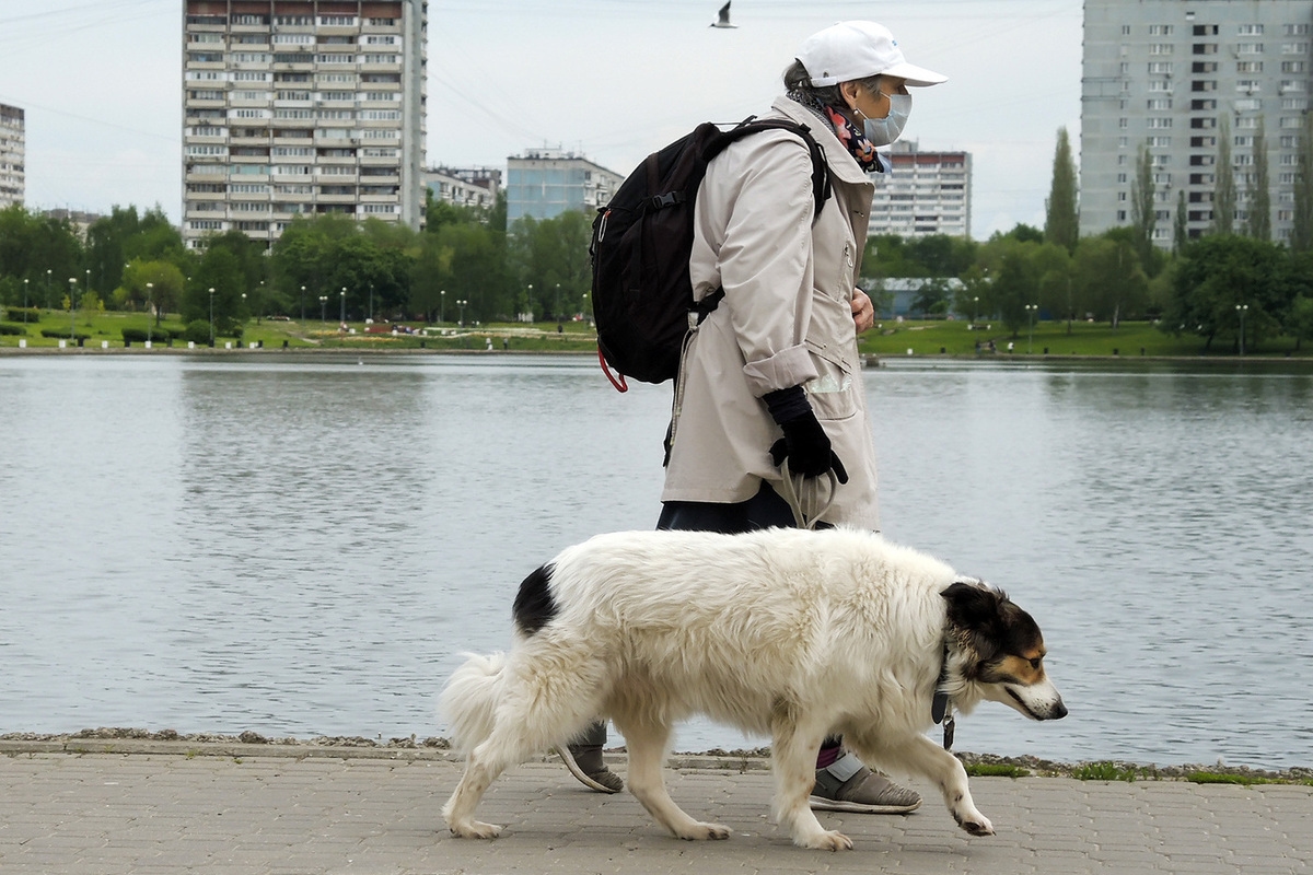 Rusia ha propuesto endurecer las penas por pasear perros sin autorización.